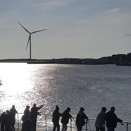 Surf And Family Sauna And Hvide Sande